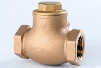 Apa itu Swing Check Valve